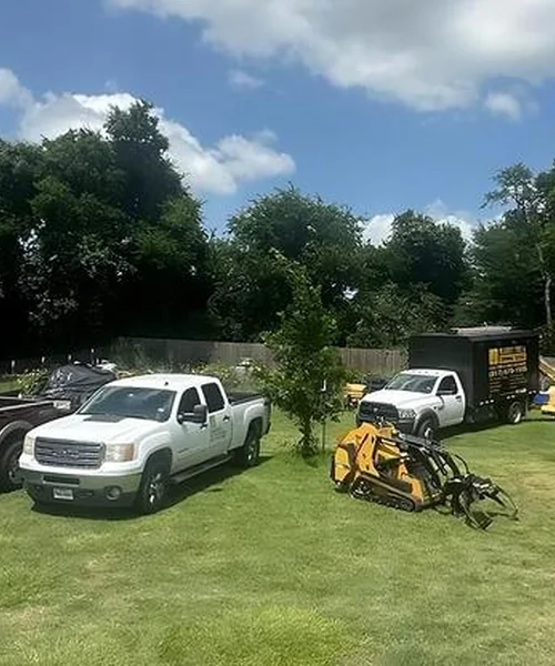 Alvarez Tree & Trimming Service in Arlington 